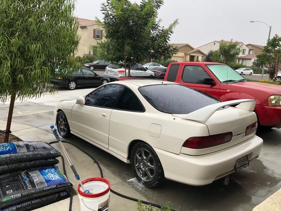 Giving the dirty girl her first wash at her new home