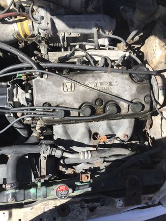 Hey guys.  I have an 89 hatchback civic.  When I bought it it had a vtec engine in it.  Obviously someone engine swapped it cuz they didn't make vtec in 89.   You can see the green plug up on the  upper left hand corner (sorry it's not a good pic I'll put another tomorrow) the plug is not attached to anything.  I want to know how or if I even can hook that up   Any help will be greatly appreciated