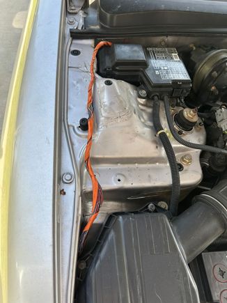 cut up harness on the car, any idea why its orange?