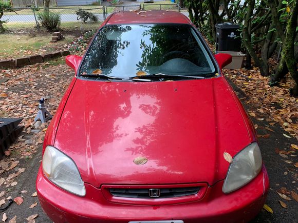 I'm going to be restoring these and a set of spare headlights I have in a couple days.