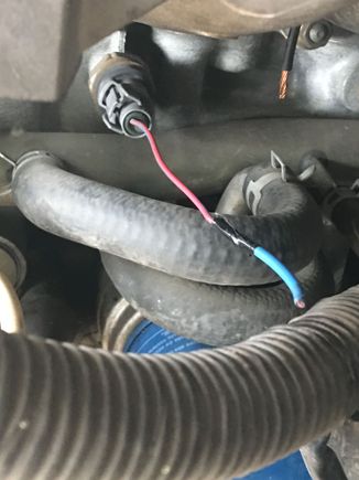 Knock sensor using the plug off the jdm harness now need to wire