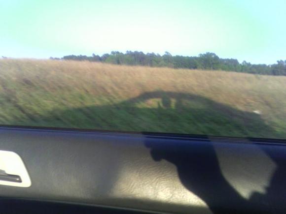 Goofing around on my phone, while i am driving OOPS!