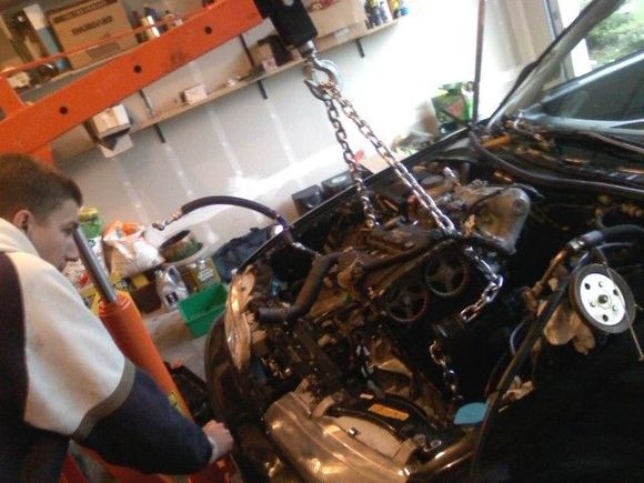 B16 DB1