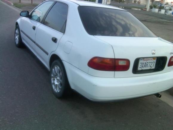 IMG00430 20101004 1718