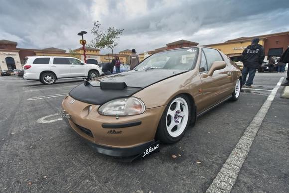 lollicup  meet