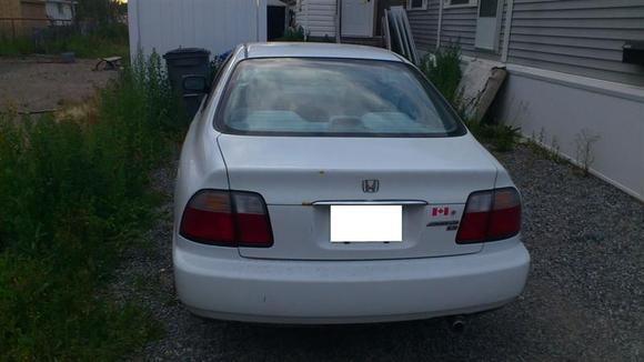 Rear