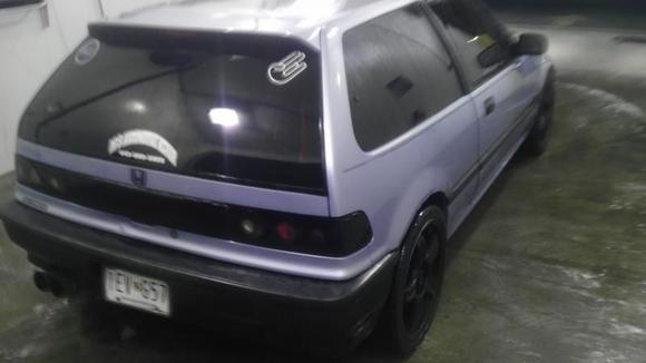 IMAG0137