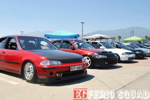 egfs