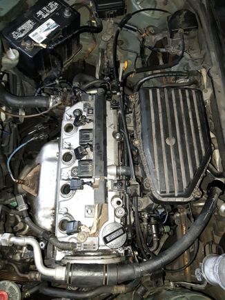 Finally buttoning things up!! Just have to reinstall the starter, power steering, alternator, and do oil change and coolant fill.