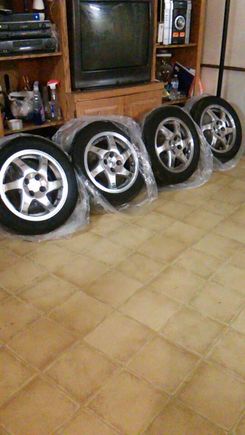 Polished Gsr Blades