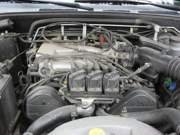 3.2 L V6 IMG