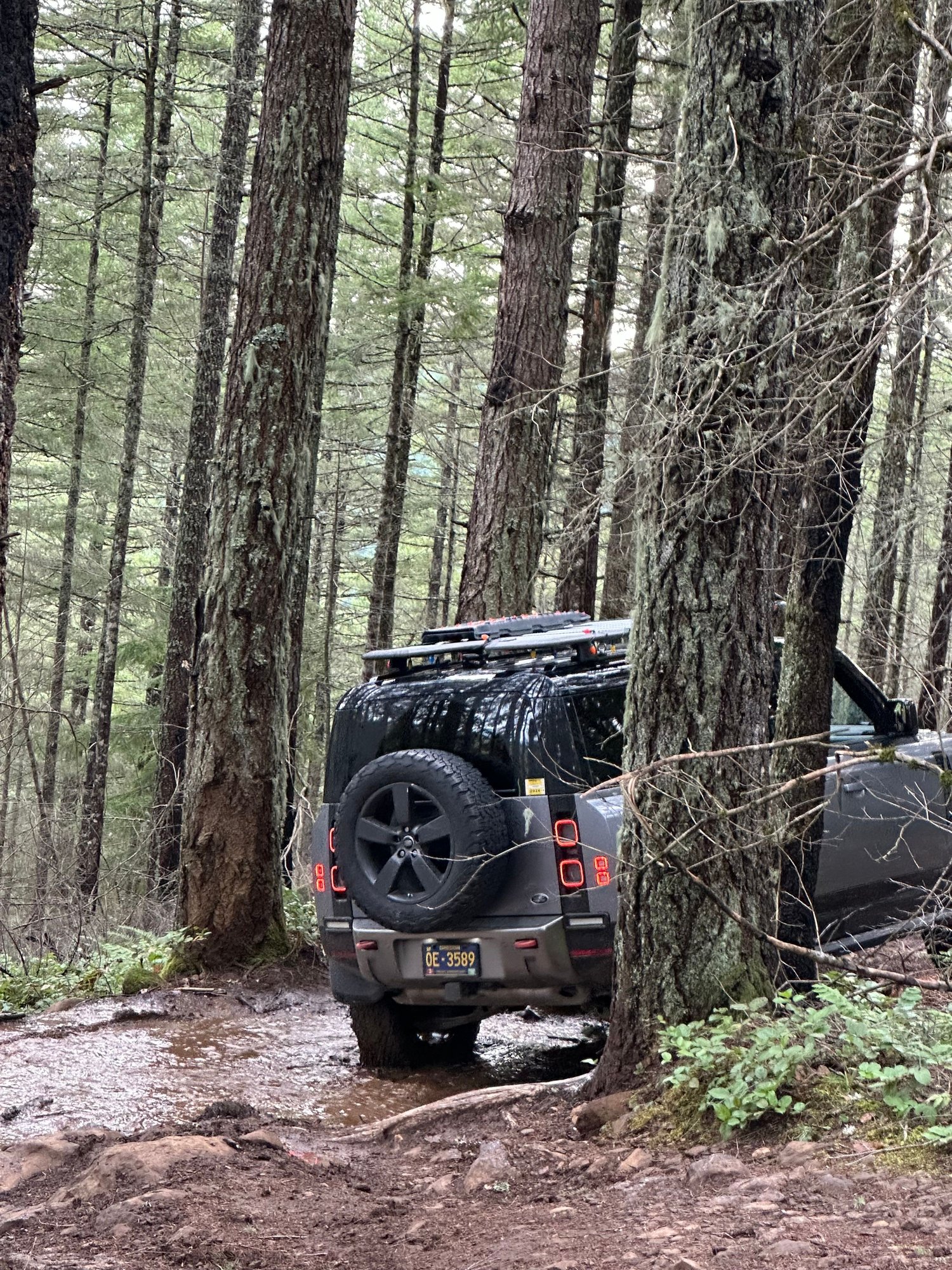 Hitting the trails