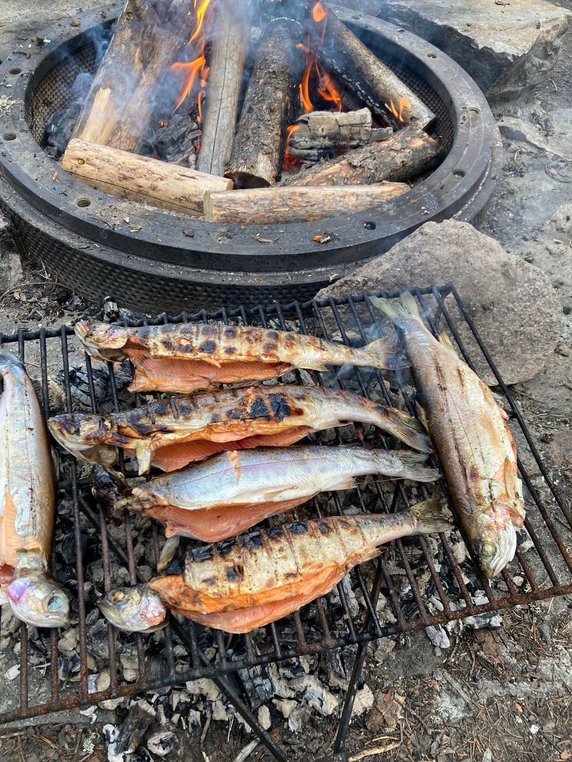 And here�s the reward for our efforts. 