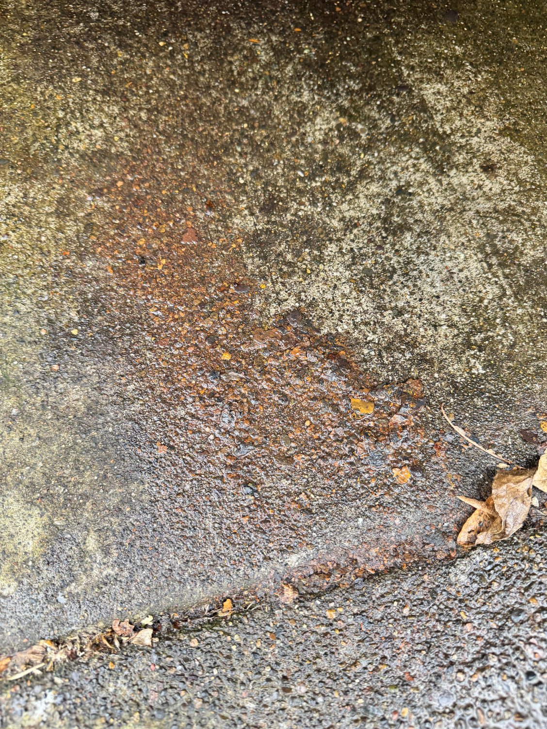 Detritus