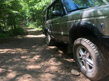Bit of flex 