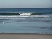 You can sometimes score some big lobsters from these washed up traps. Not today :-(