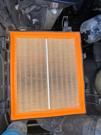 Air filter looks ok - darkness is probably just an optical illusion created by the gills 