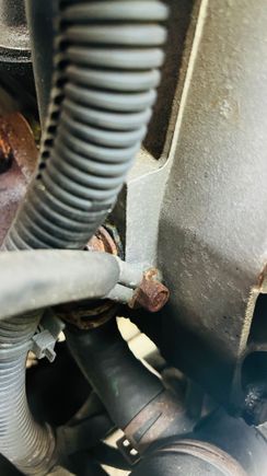 Alternator ground