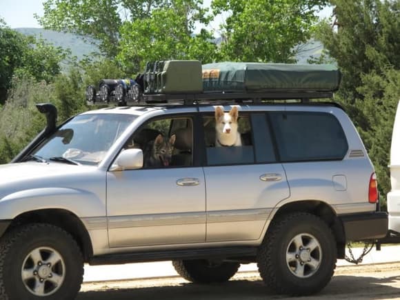 No straps are needed and its much easier to mount light bars, jerry cans, shovels, hi-lift jacks and even roof top tents.