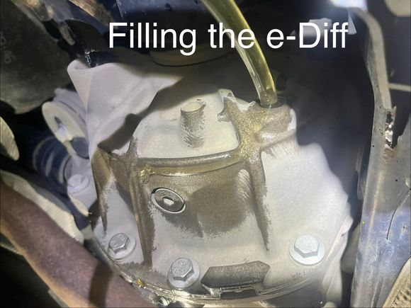  30 Nm or 23 ft lb on the drain and fill plugs. 