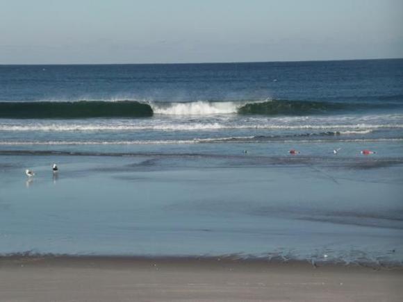 You can sometimes score some big lobsters from these washed up traps. Not today :-(