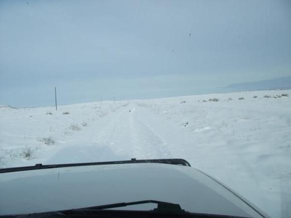 Jan2011DeloresTriangle 076