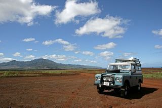 By The Pineapple fields