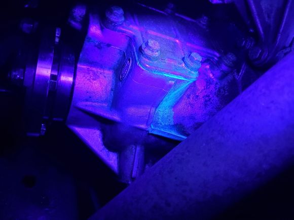 With black light and NO dye