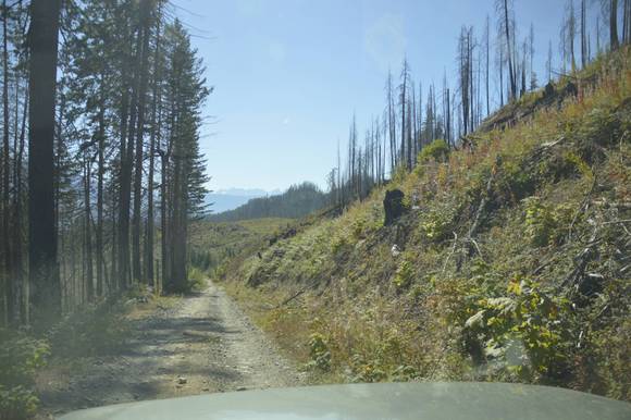 The road down to Hale Creek - the good part