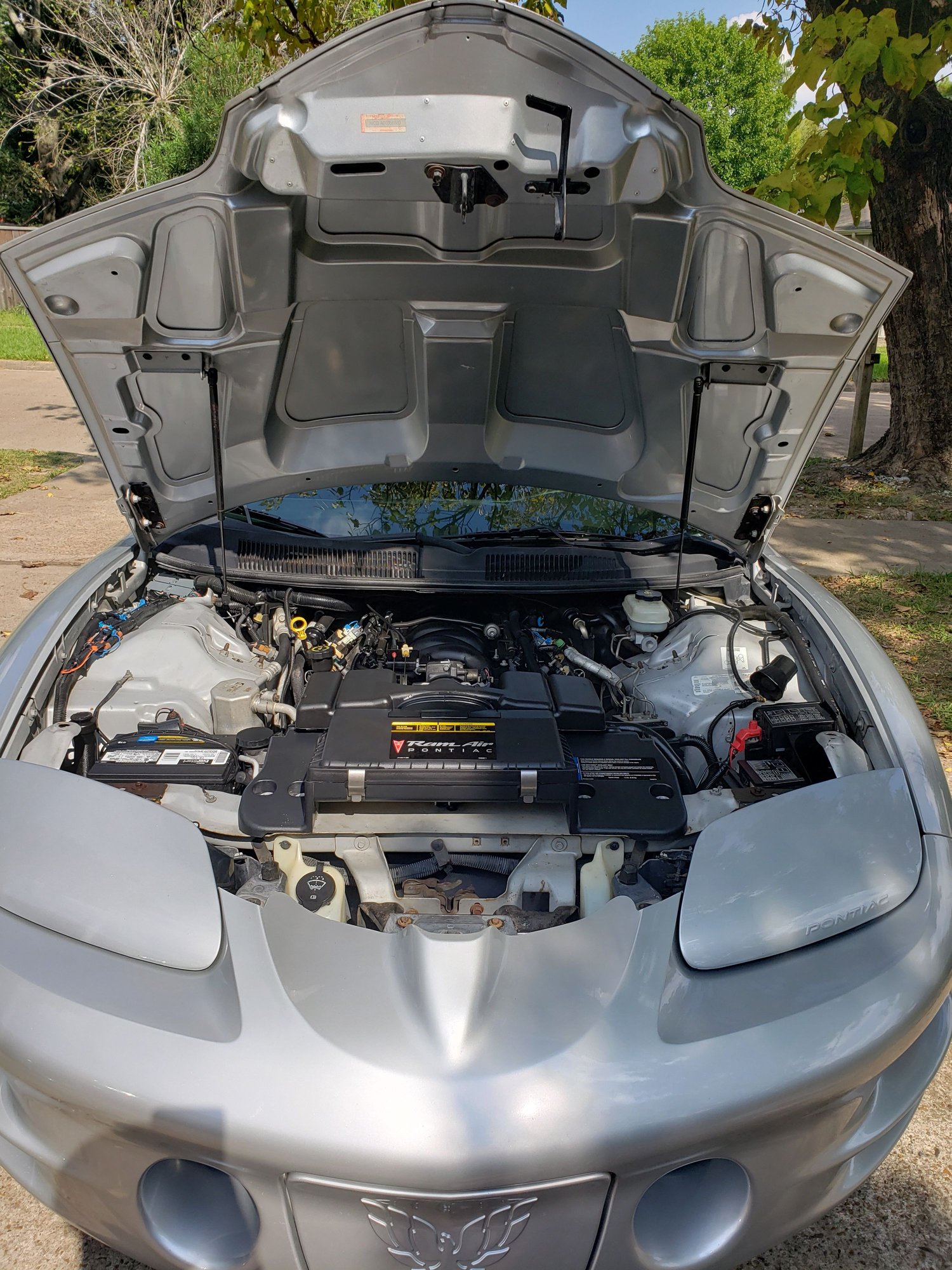 2002 Pontiac Firebird - 2002 WS6 M6 91k miles - Used - VIN 2G2FV22G122166518 - 91,100 Miles - 8 cyl - 2WD - Manual - Hatchback - Silver - Houston, TX 77086, United States