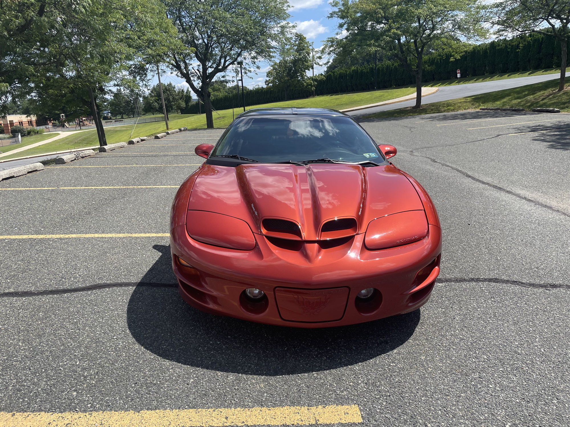 2001 Pontiac Firebird - Pontiac Trans am WS6 SOM 72k miles garage kept - Used - Allentown, PA 18104, United States