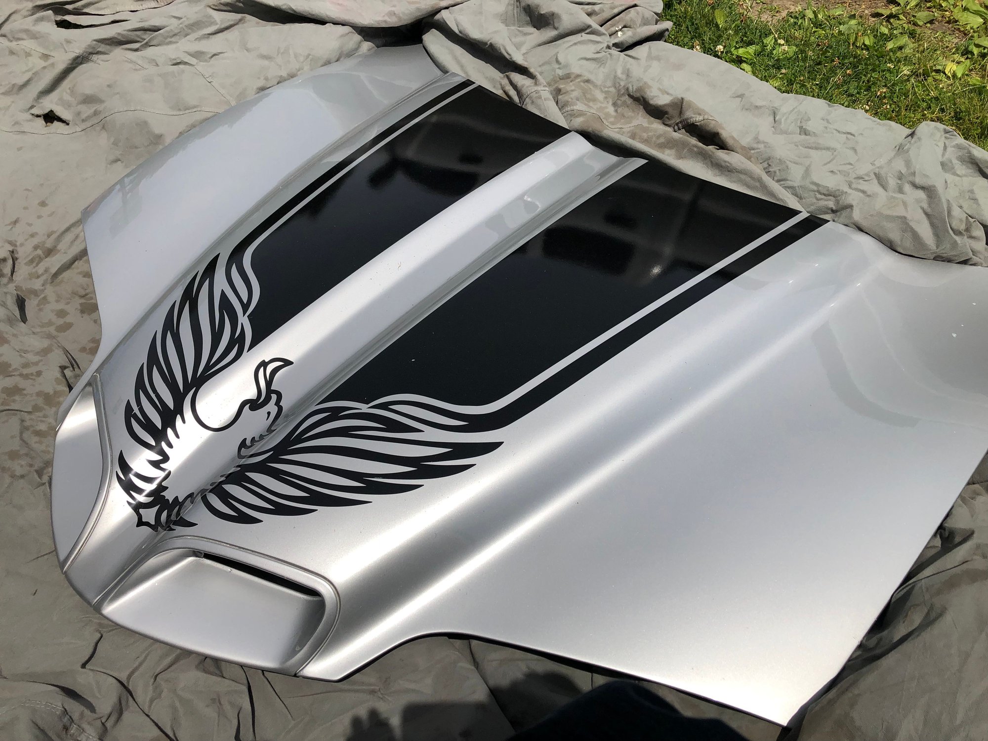  - Oem Ram air hood - Zanesville, OH OHIO, United States