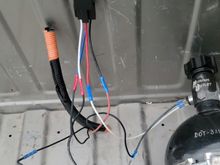 White wire from relay- grounded
Red from relay goes into pressure switch
Blue into warmer
Black from relay 12v to battery
Black wire on pressure switch 12v arming switch
