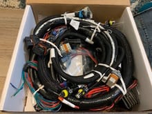 Holley wiring harness