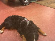 I`m tired ...