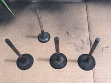 I uesd 3 intake valves and 1 exhaust