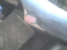 passenger fender