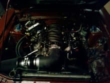 ls1 in the mustang
