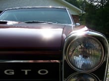 65 GTO
