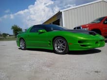 Viper Green Trans Am build 2