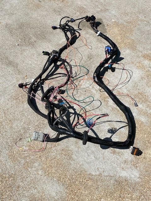 Engine - Electrical - Holley Dominator wiring harness - Used - 0  All Models - Fair Grove, MO 65648, United States