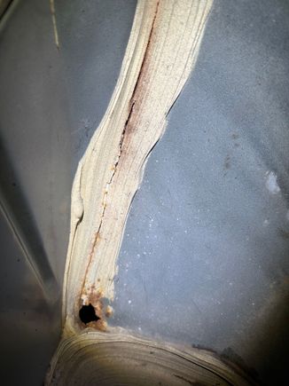 Hatch View Passenger