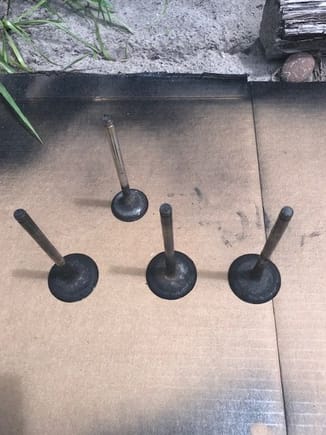 I uesd 3 intake valves and 1 exhaust