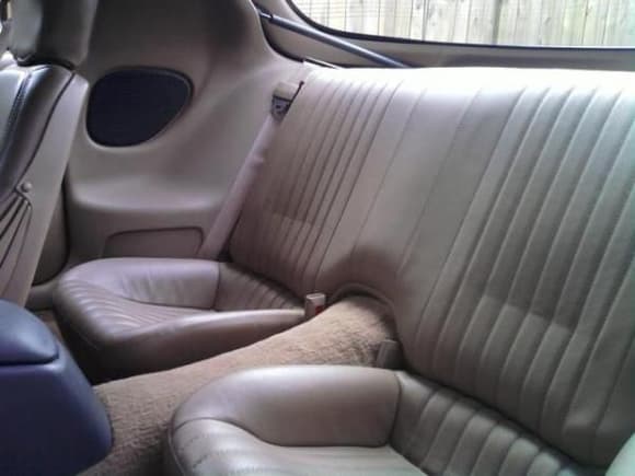 Interior- back seat