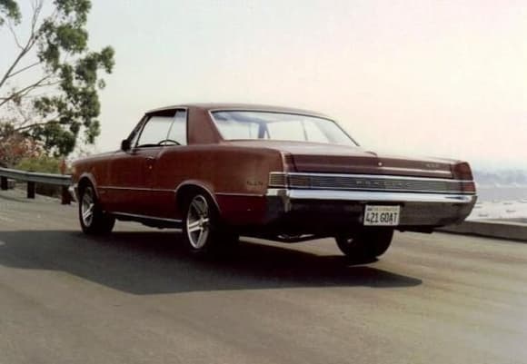 1965 GTO (8)