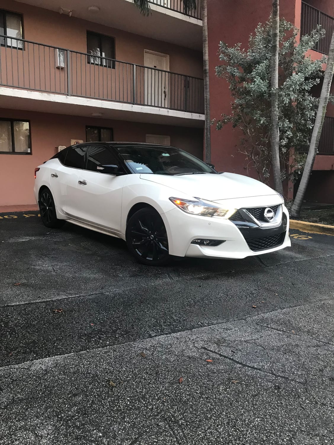 New Member/First Post Vinyl Roof Wrap Maxima Forums