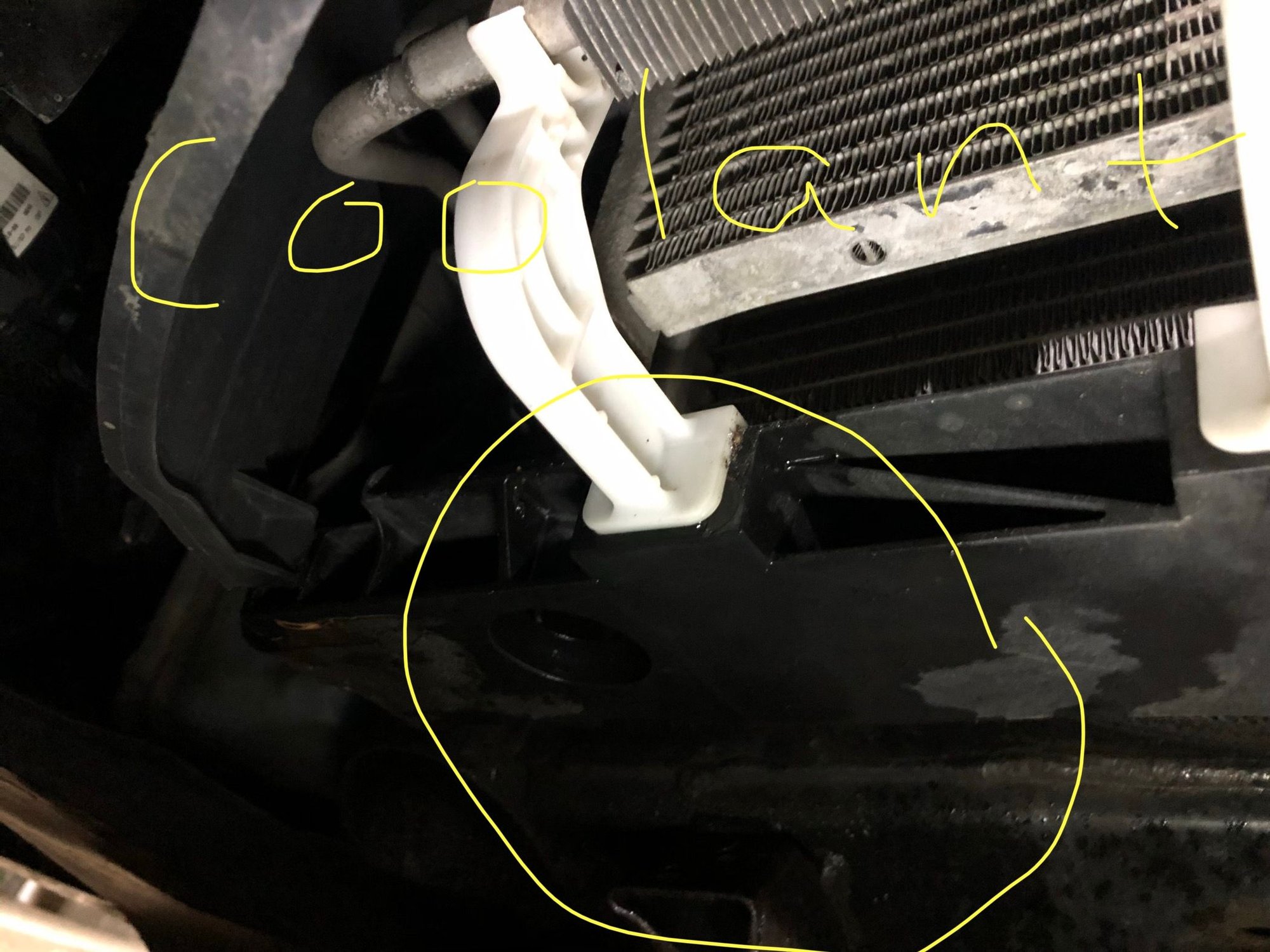 Antifreeze leak Maxima Forums