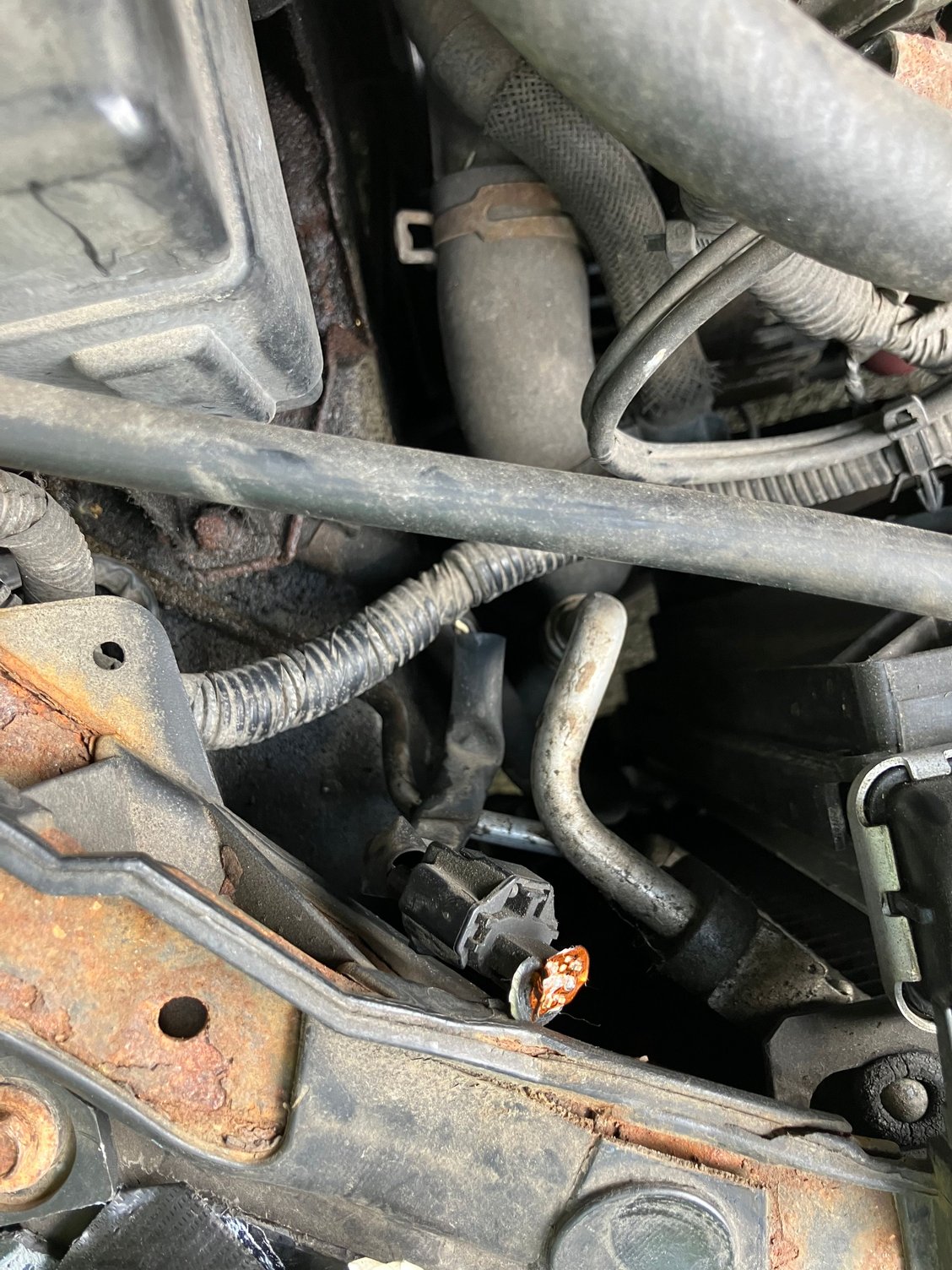 The connsector towards the bottom of the screen with the dark orange back side.