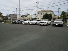 仲間のマキシマです。