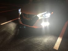 Enlight Auto HIDS and LEDS